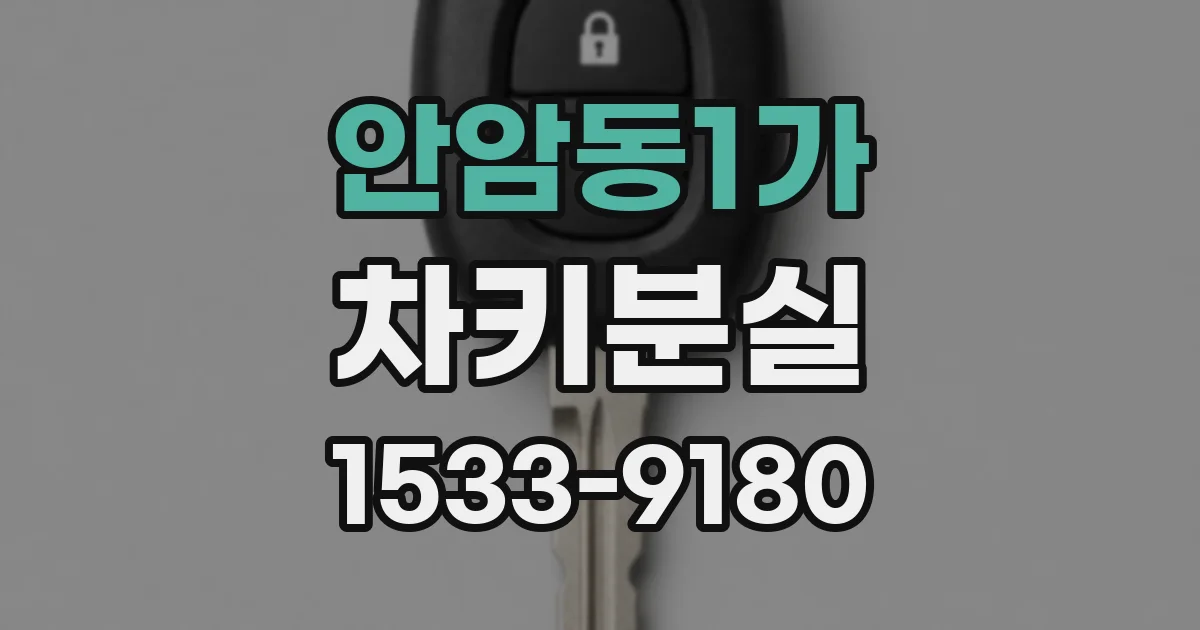 안암동1가 차키분실