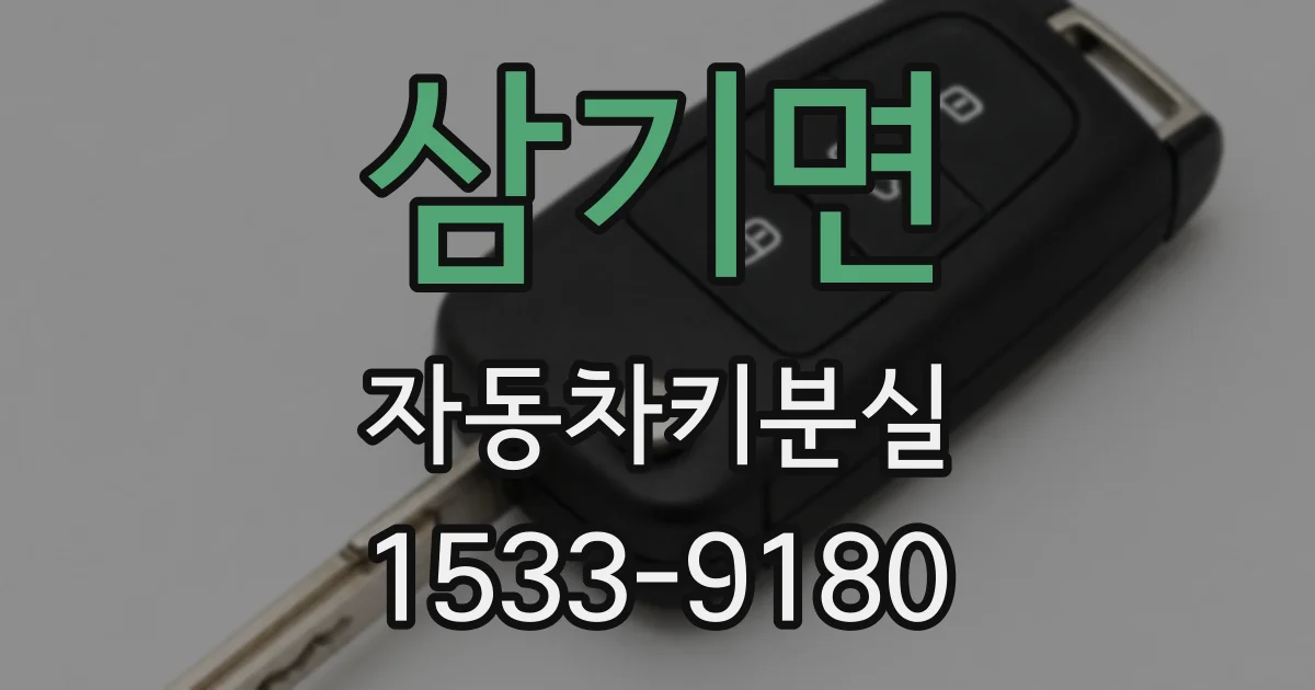 삼기면 자동차키분실