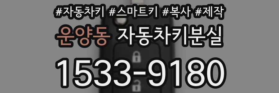 운양동 자동차키분실