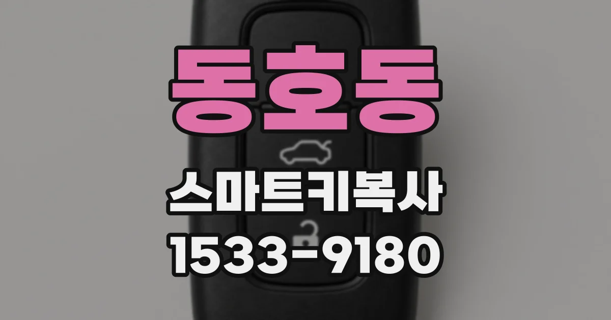 동호동 스마트키복사