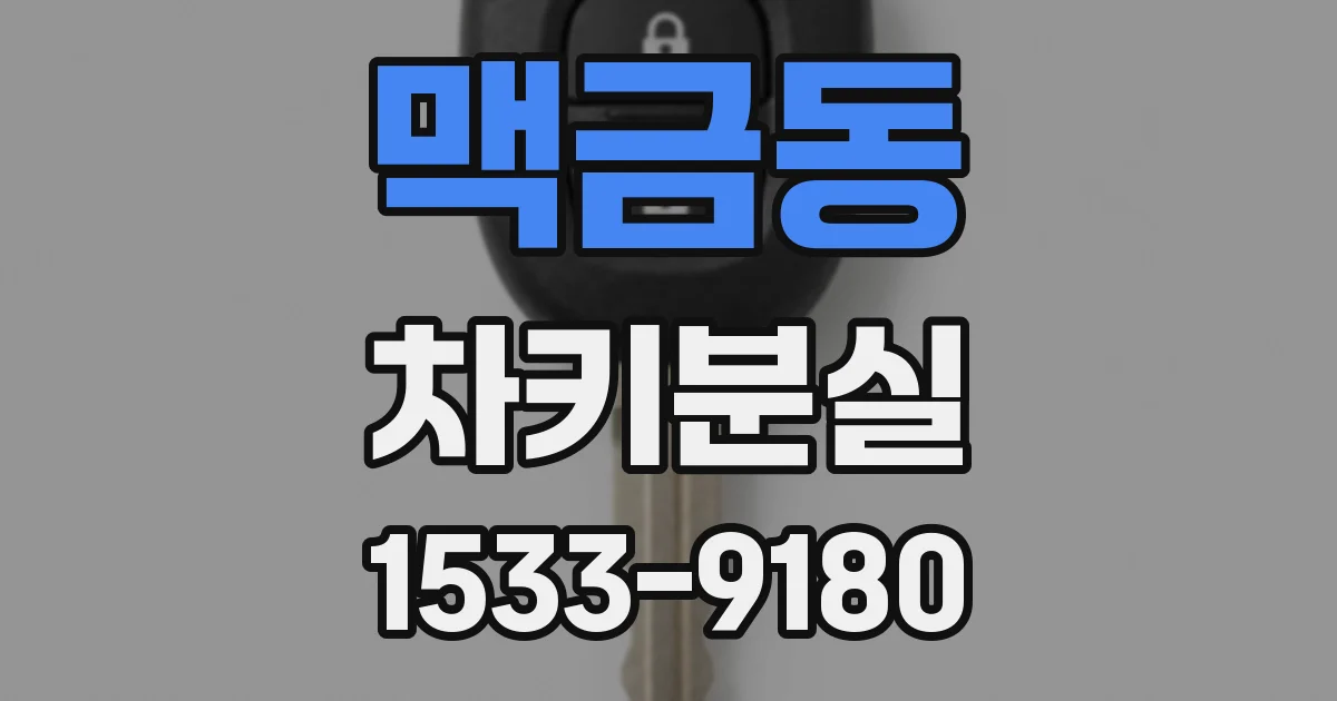 맥금동 차키분실