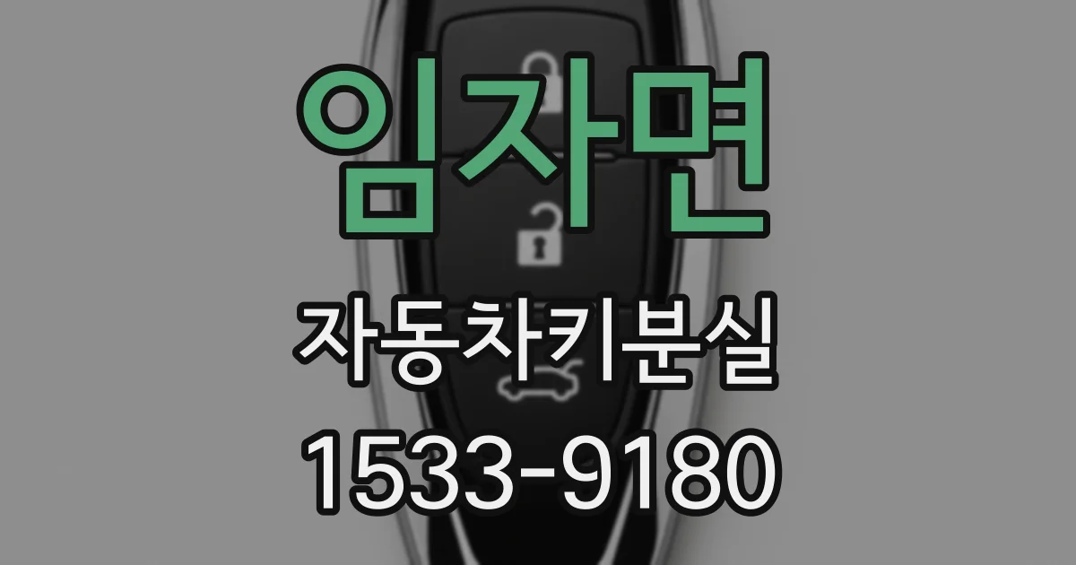 임자면 자동차키분실