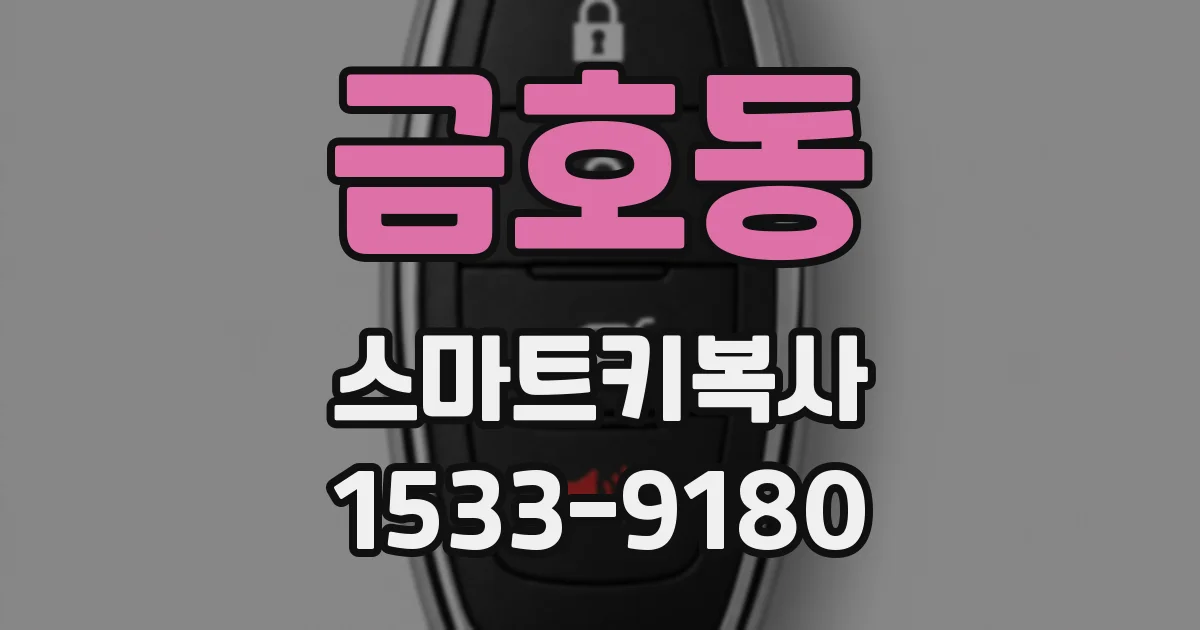 금호동 스마트키복사
