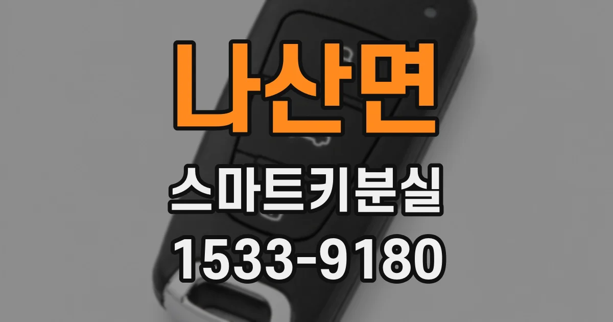 나산면 스마트키분실