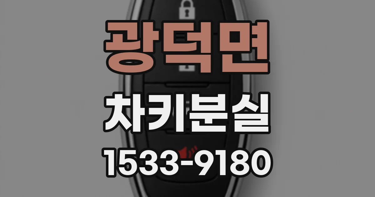 광덕면 차키분실