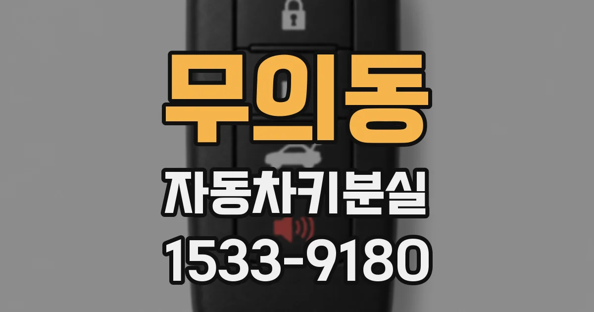 무의동 자동차키분실