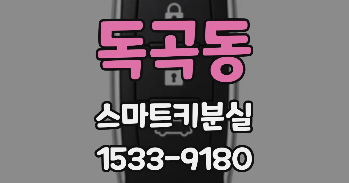독곡동 스마트키분실