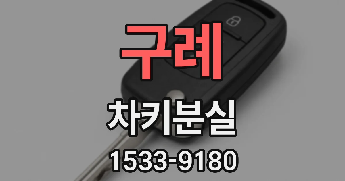 구례 차키분실