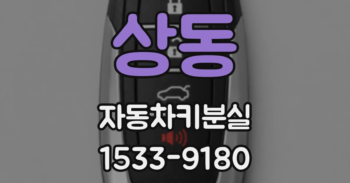 상동 자동차키분실