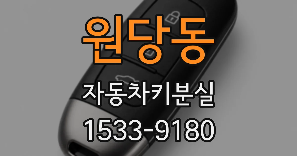 원당동 자동차키분실