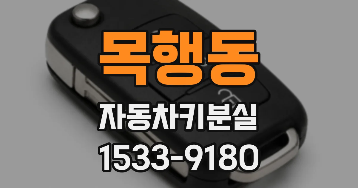 목행동 자동차키분실