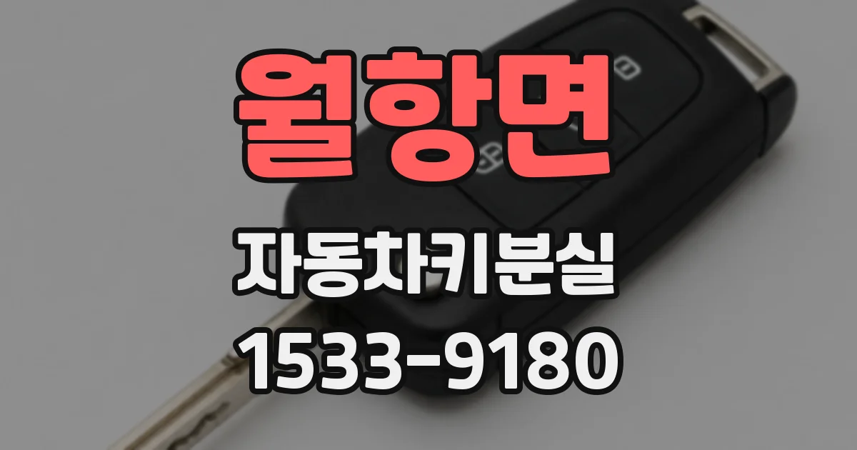 월항면 자동차키분실