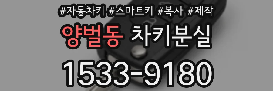 양벌동 차키분실