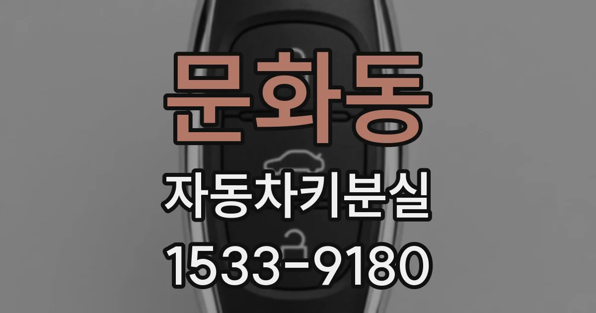 문화동 자동차키분실