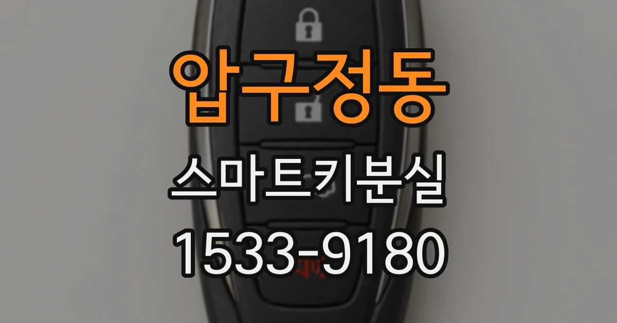 압구정동 스마트키분실