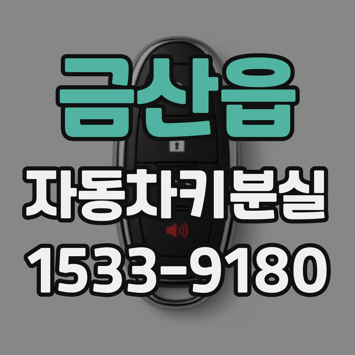 금산읍 자동차키분실