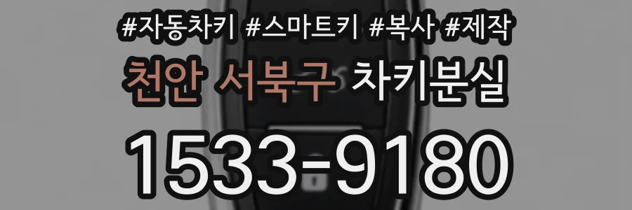 천안 서북구 차키분실