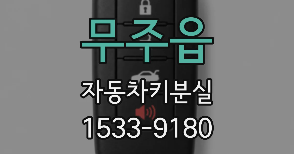 무주읍 자동차키분실