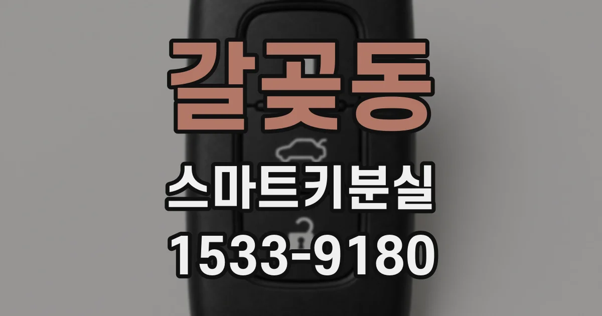 갈곶동 스마트키분실