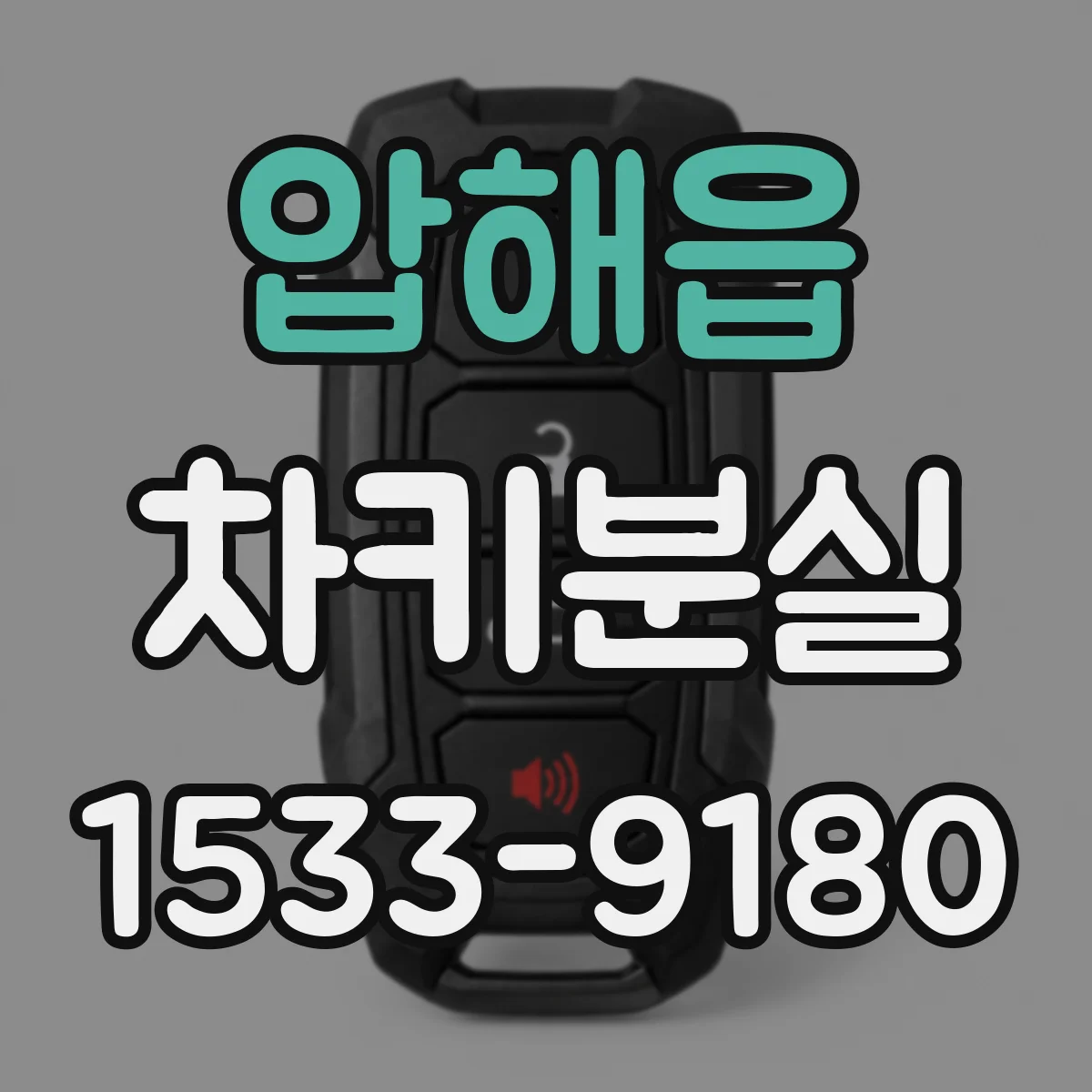 압해읍 차키분실