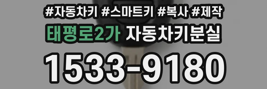 태평로2가 자동차키분실