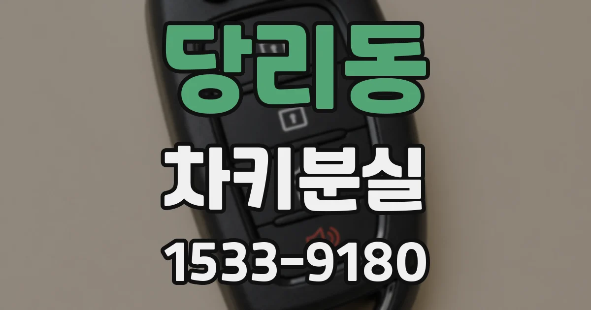 당리동 차키분실