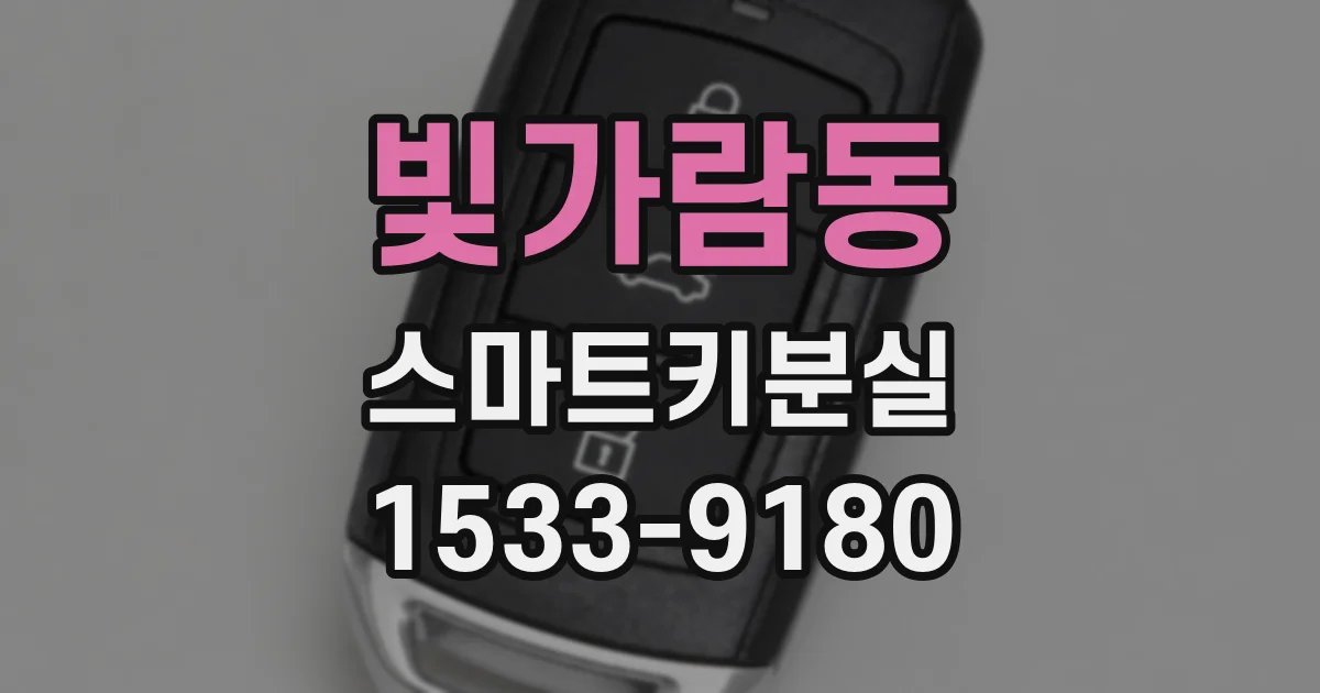 빛가람동 스마트키분실