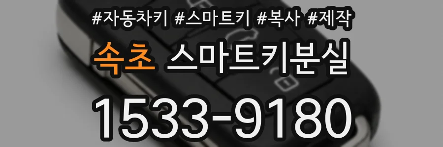 속초 스마트키분실