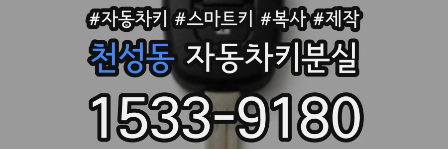 천성동 자동차키분실