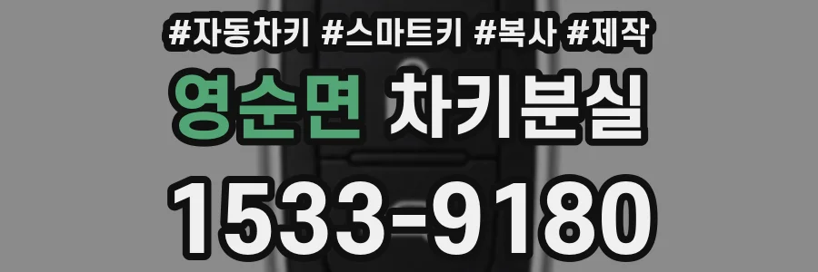영순면 차키분실