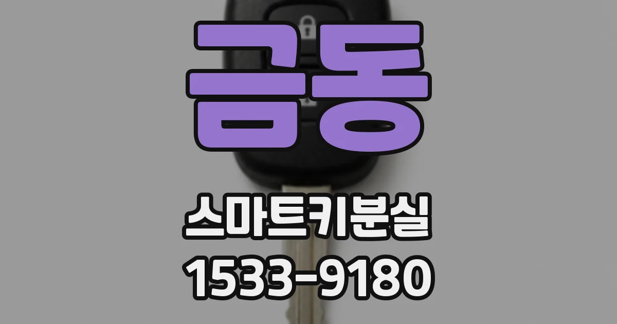 금동 스마트키분실