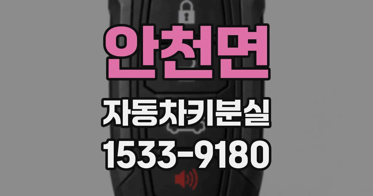 안천면 자동차키분실
