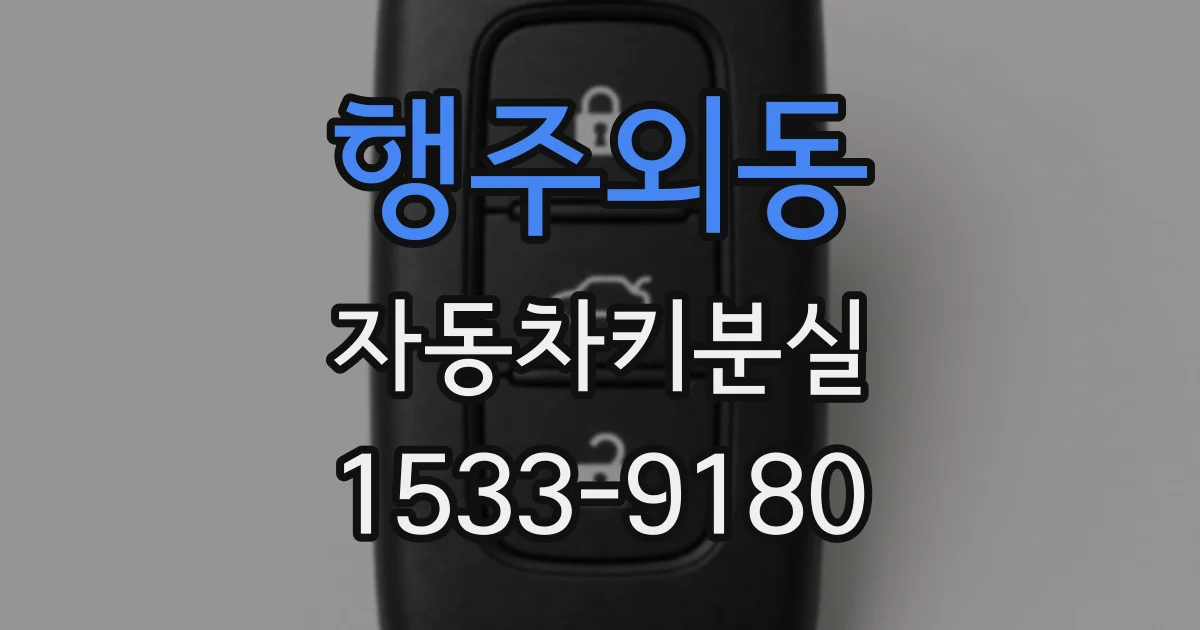 행주외동 자동차키분실