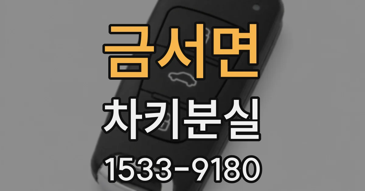 금서면 차키분실