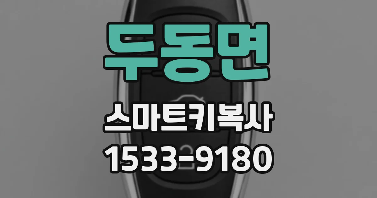 두동면 스마트키복사