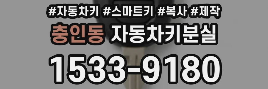 충인동 자동차키분실