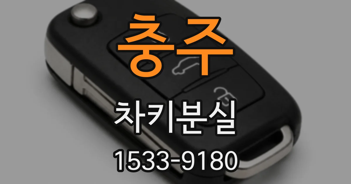 충주 차키분실
