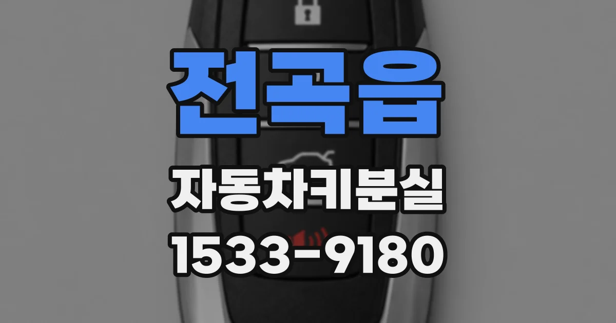 전곡읍 자동차키분실