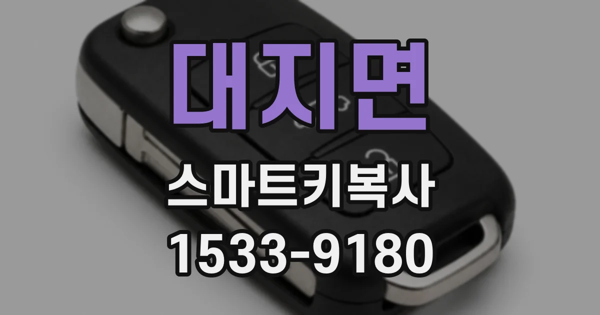 대지면 스마트키복사