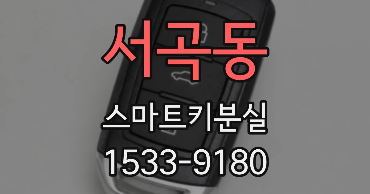 서곡동 스마트키분실