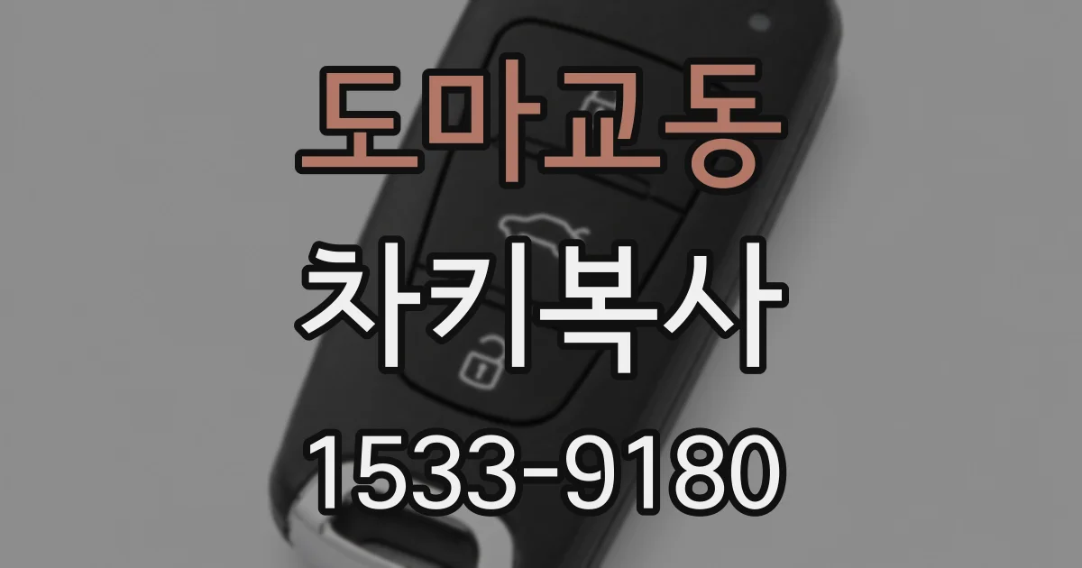 도마교동 차키복사