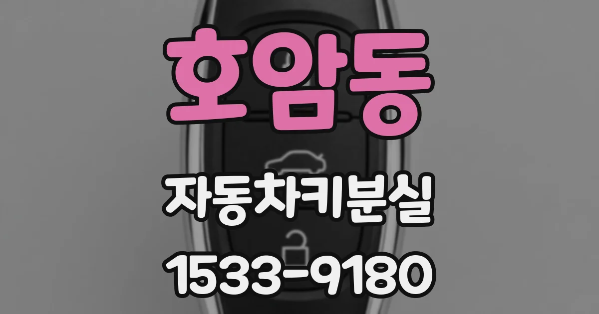 호암동 자동차키분실