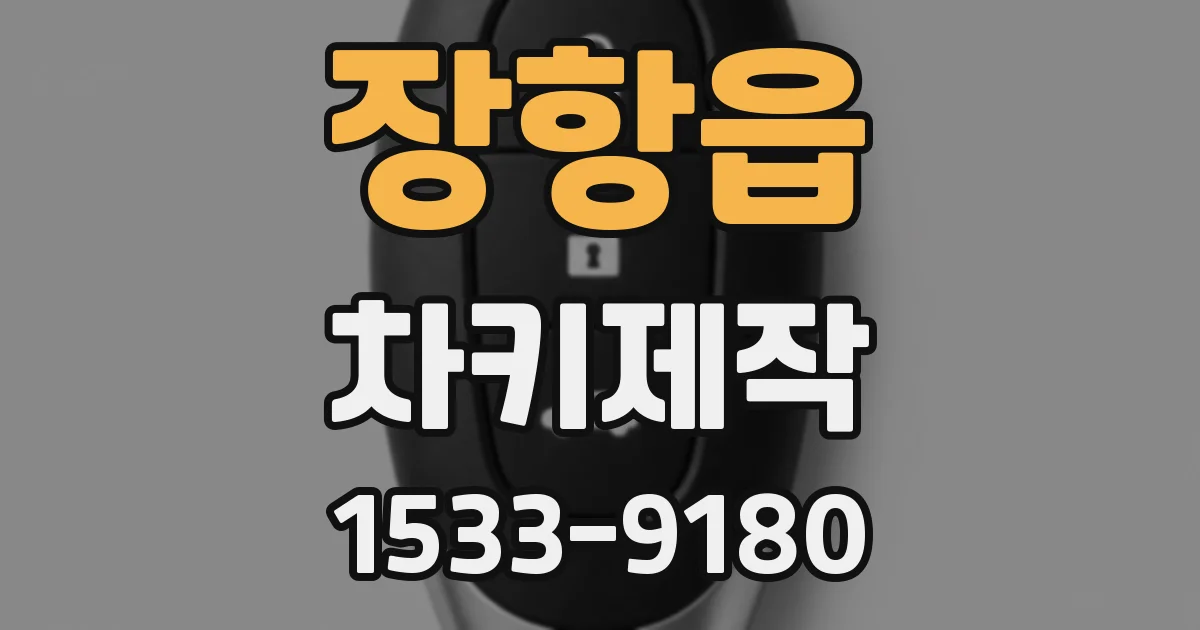 장항읍 차키제작