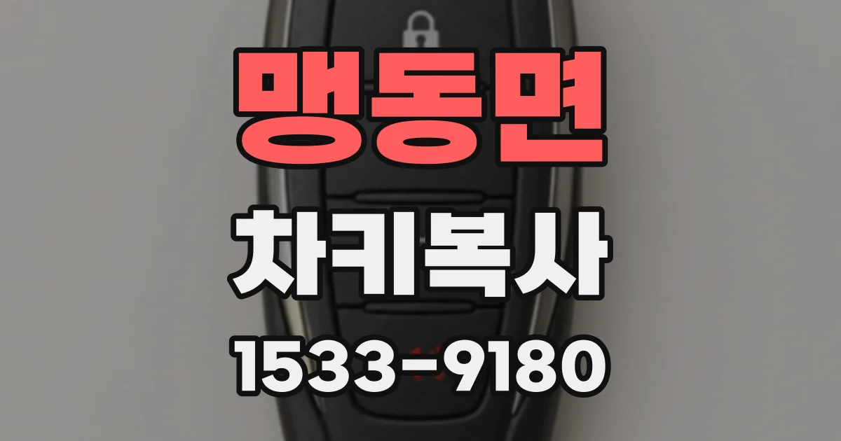 맹동면 차키복사
