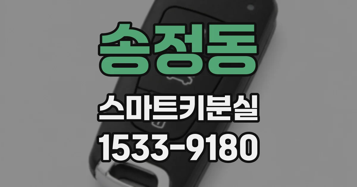 송정동 스마트키분실