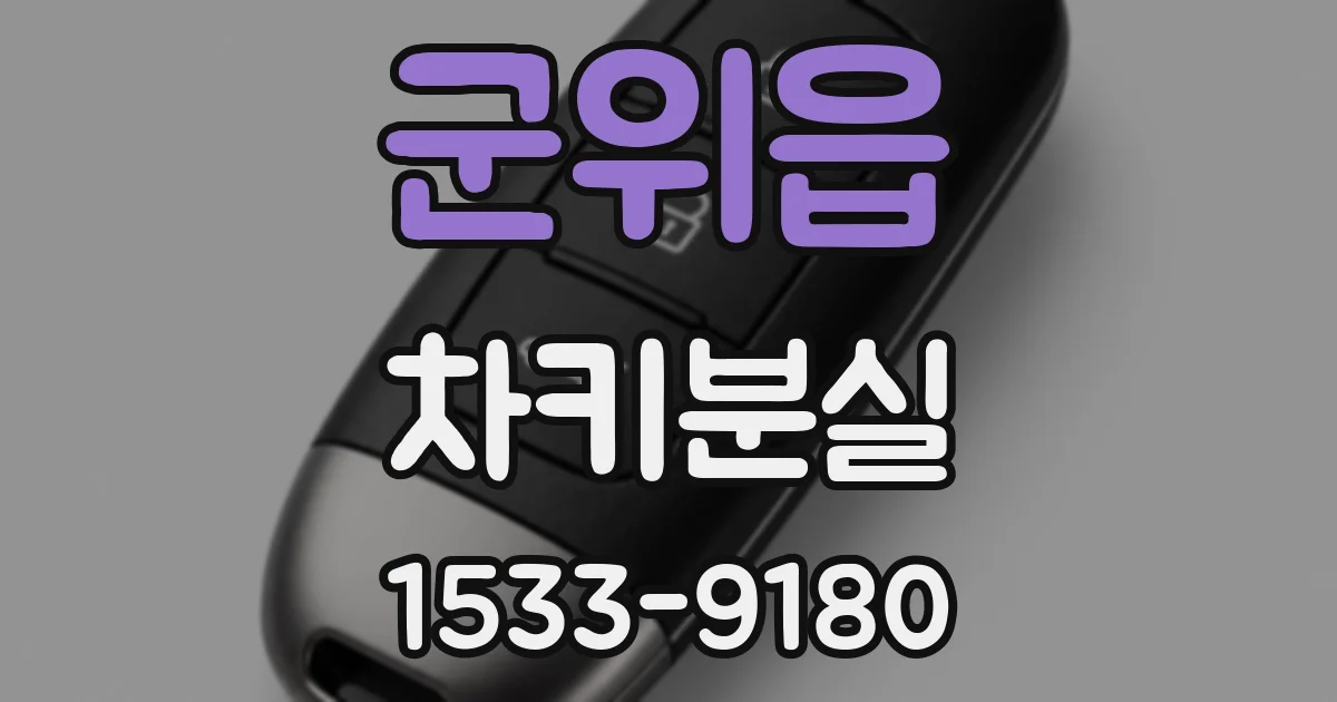 군위읍 차키분실