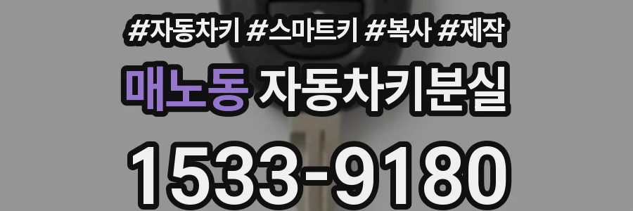 매노동 자동차키분실
