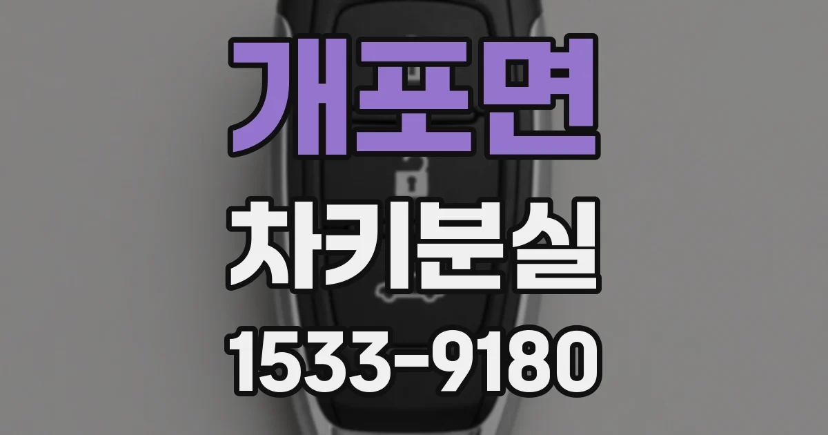 개포면 차키분실