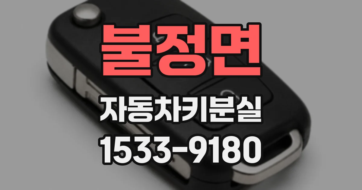 불정면 자동차키분실