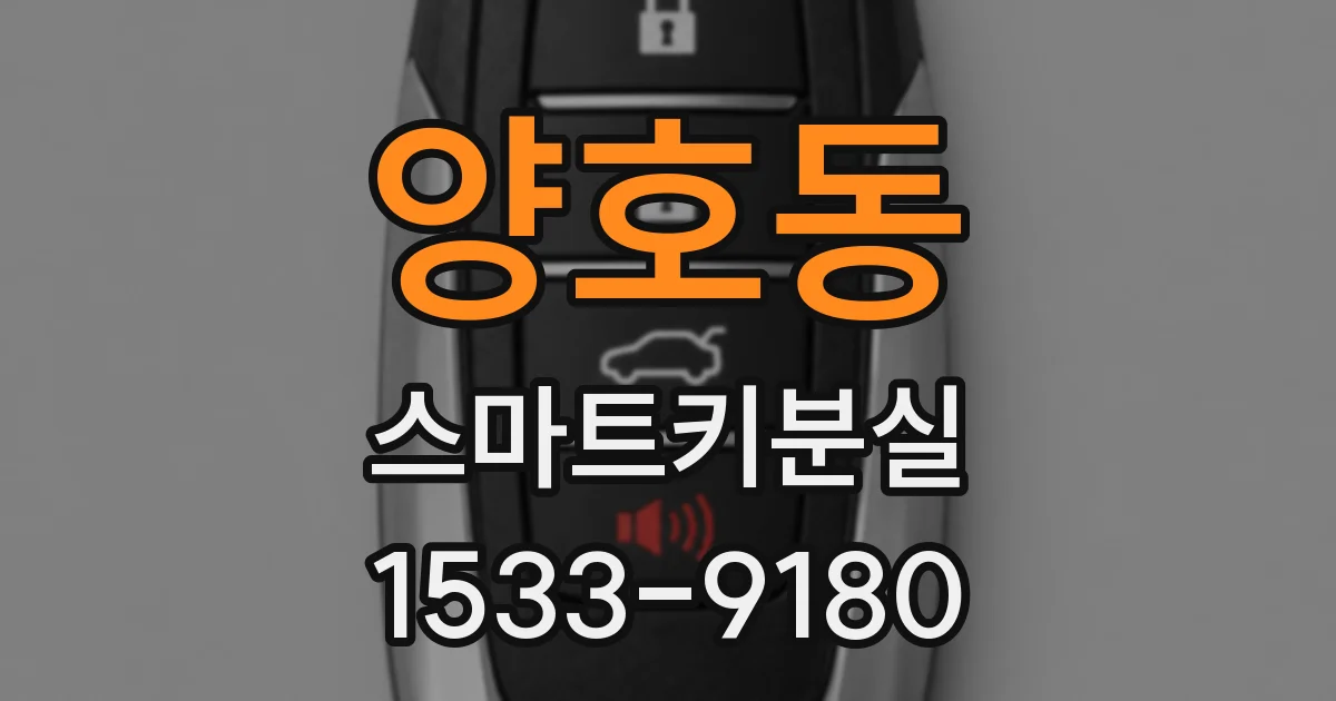 양호동 스마트키분실